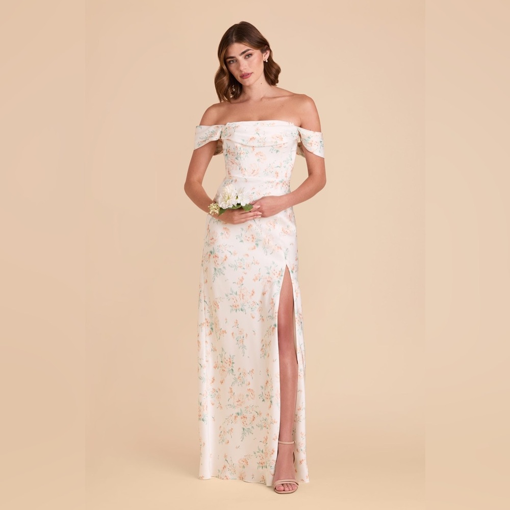 NWT - Birdy Grey Mia Dress in apricot whimsical blooms